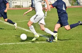 TK体育-足球赛场再起风云：渝州鲨队队惊险晋级闽南独角兽队，赛场气氛火爆外援联手发威的简单介绍